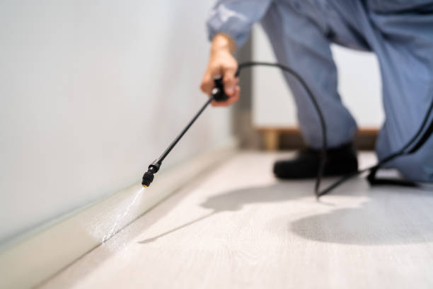 Licensed Pest Control service in Parkway, CA - Show Me Pest Control