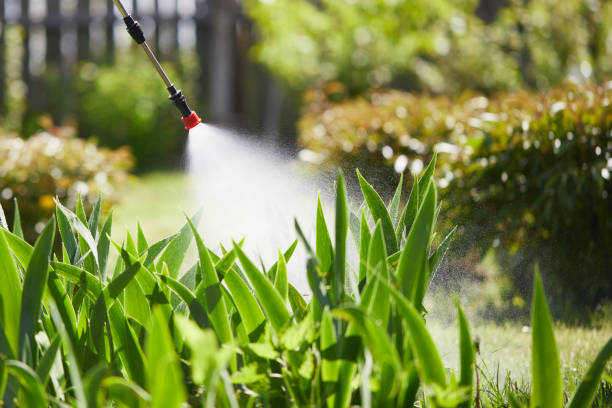 24/7 Emergency Wasp Removal experts in Parkway, CA